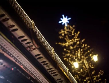 Χριστούγεννα στα Τρίκαλα: Φωταγωγήθηκε το ψηλότερο φυσικό δέντρο στην Ελλάδα